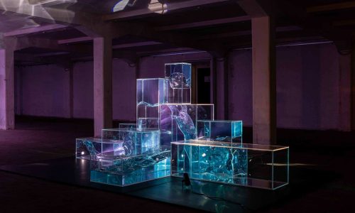 Biennale des Imaginaires Numériques - Soirée Inaugurale Du 7 au 8 nov 2024